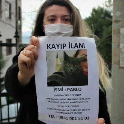 Pablo kayıp