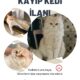 Kayıp Kedi