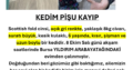 Kayıp Kedi Pişu